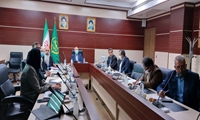 ایران باید به هاب صنعت زنبورداری در منطقه تبدیل شود/ اعلام آمادگی سازمان یونیدو برای انتقال فناوری‌های جدید