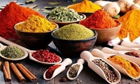افزایش 20 درصدی قیمت گیاهان دارویی با نشان «PDO»
