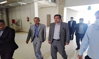 خرید گندم و ذخیره آن فقط بر عهده دولت