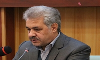 روزانه 200 تن گوشت مرغ در استان مرکزی توزیع می شود