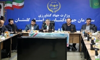 لزوم ورود اتحادیه‌ها به خرید مازاد پنبه کشاورزان/ کاهش 90 درصدی پیمان‌سپاری ارزی برای صادر کنندگان مرکبات