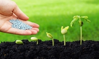 توزیع بیش از 15 هزار تن کود در استان خراسان جنوبی