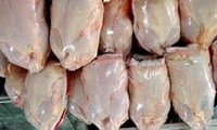 خریداری مرغ گوشتی مازاد بر مصرف به صورت منجمد کارتنی در استان کرمان