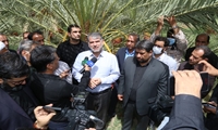 وزیر جهاد کشاورزی اعلام کرد: تحول در بخش کشاورزی شمال و جنوب کرمان با اختصاص 3 هزار و 500 میلیارد تومان اعتبار