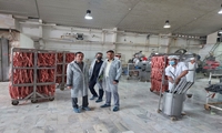 تاکید بر ممنوعیت عرضه مرغ تنظیم بازار به صنایع