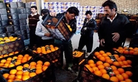 جایگاه دوم کشوری استان چهارمحال و بختیاری در تامین میوه تنظیم بازار شب عید