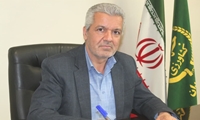 کمبود مرغ در استان نداریم