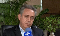 نیمی از نهاده‌های دامی از بنادر ترخیص شد