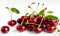 پیش بینی برداشت حدود 700 تن محصول نوبرانه گیلاس شهرستان طارم