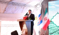 "ساداتی‌نژاد" در بازدید از دامداری صنعتی قزوین: تولیدکنندگان دنبال آرامش در بازار محصولات غذایی باشند