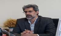آغاز برداشت محصول چغندر قند از مزارع استان همدان