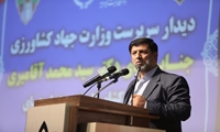 بودجه 6 هزار میلیارد تومانی برای بیمه محصولات کشاورزی تصویب شد/ تخصیص یارانه به 19 محصول در راستای اجرای الگوی کشت