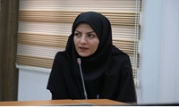 استانداردسازی محصول کیوی در راستای رونق صادرات