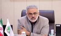 کاشت 250 میلیون اصله نهال در سال 1402/ برای نگهداشت درختان به مشارکت مردم نیاز داریم