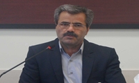 کشت ذرت علوفه‌ای در 4 هزار و 415 هکتاراستان همدان