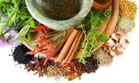 توسعه کشت گیاهان دارویی در سطحی بالغ بر 40 هزار هکتار در سال جاری