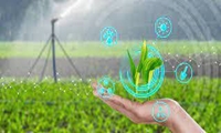 استقرار جوانان و دانش‌آموختگان کشاورزی در 2 هزار شرکت دانش‌بنیان