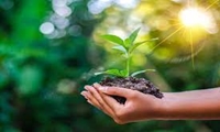 اختصاص 240 میلیارد تومان در قالب ردیف بودجه مستقل به طرح کاشت یک میلیارد درخت