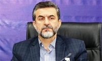 راه اندازی سامانه مانیتورینگ صادرات مرکبات به چین