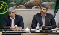 تشکیل قرارگاه مرکزی مدیریت بیماری سفیدک دروغی سیب‌زمینی در اردبیل