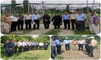 بازدید مدیرکل دفتر میوه های سردسیری وزارت جهاد کشاورزی از باغات میوه شهرستان ارومیه