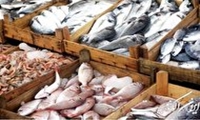 برگزاری نمایشگاه نوروزی تخصصی عرضه محصولات شیلاتی