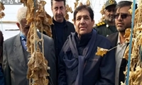 بازدید معاون اول رئیس‌جمهور از گلخانه‌های خسارت‌دیده سیستان