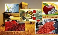 حمایت از سرمایه‌گذاری‌های نوین در بخش صنایع تبدیلی و غذایی