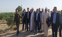 مسئولان در حمایت از کارآفرینان و سرمایه‌ گذاران اهتمام جدی داشته باشند/ به مناسبت هفته جهاد کشاورزی از کشاورز پیشرو و نمونه میاندوآبی تجلیل شد