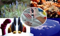 صدور گواهی تاییدیه محصولات و فناوری‌های نانویی کشاورزی محور
