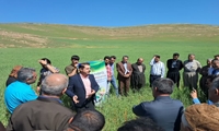 برگزاری چهارمین کاروان ترویج الگوی کشت ملی محصولات زراعی در آذربایجان غربی