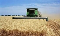 ناوگان فرسوده کمباین با حمایت‌های مالی نوسازی شود/ آموزش رانندگان کمباین برای جلوگیری از ریزش محصول