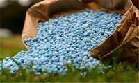 تامین کود یارانه‌ای با دولت و توزیع آن با بخش خصوصی/ ذخیره استراتژیک کودهای کشور 860 هزار تن است