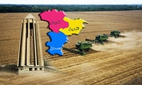 رقابت پایاپای کشاورزان زنجانی و همدانی در تحویل گندم/ خرید بیش از یک میلیون تُن گندم از سه استان زنجان، همدان و قزوین