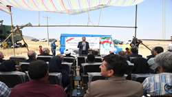 وجود ۲۶ هزار هکتار اراضی قابل کشت در شهرستان تبریز