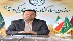 سالانه 511 هزار تن انواع میوه در کردستان تولید میشود 