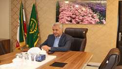 خرید تضمینی گندم در استان مرکزی به ۴۱۵ هزار تن رسید 