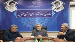 رفع تداخل ۱۲ هزار هکتار از اراضی کشاورزی استان قزوین