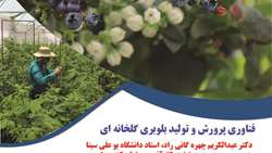 فناوری پرورش و تولید بلوبری گلخانه ای