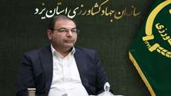 افزایش ۶۰ درصدی جوجه ریزی در فصل بهار نسبت به مدت مشابه 