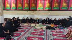 طرح ملی «زنان کار آمد روستای سرآمد» در استان بوشهر عملیاتی شد