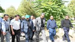 رونمایی از 4 رقم جدید زردآلو در ایستگاه تحقیقات باغبانی سهند