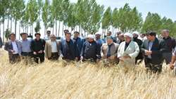 شهرستان هشترود رتبه نخست صدور اسناد اراضی کشاورزی در آذربایجان شرقی