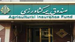 9.7 همت؛ حق بیمه تولیدی محصولات کشاورزی از ابتدای سال زراعی جاری تا اردیبهشت 1403
