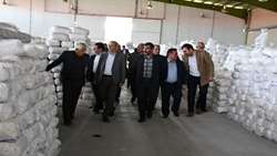 بازدید سرپرست سازمان جهاد کشاورزی آذربایجان شرقی از واحدهای تولیدی اهر