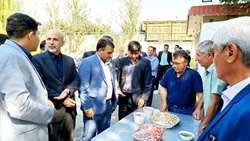 برپایی سومین جشنواره برداشت پسته در شهرستان ملارد به مناسبت روز ملی روستا و عشایر/برداشت ۱۲ تن پسته از هر هکتار باغ‌های ملارد