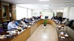 یک مهر ماه آغاز برداشت چغندر قند از مزارع آذربایجان غربی / 30 درصد اراضی چغندر کشور متعلق به زارعان این استان است
