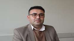 تولید ۱۰۰تن گوشت بلدرچین سال گذشته در استان همدان