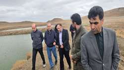 پیگیری تکمیل طرح پرورش آرتمیا در بندر رحمانلو