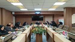 زنان روستایی و عشایر در مسیر تحول دیجیتال/ بسترسازی برای ورود به بازارهای نوین